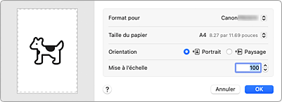 figure&nbsp;: Boîte de dialogue Configuration de la page