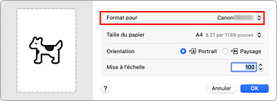 figure&nbsp;: Format pour les attributs de page de la Boîte de dialogue Configuration de la page