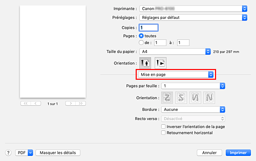 figure&nbsp;:&nbsp;Mise en page dans la boîte de dialogue Imprimer