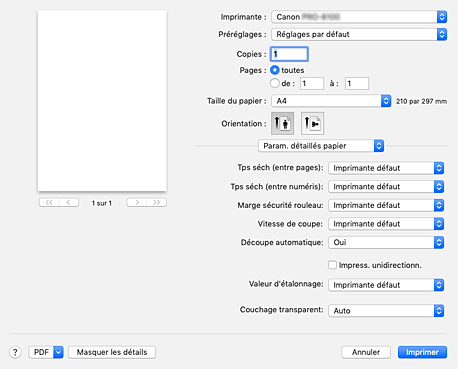 figure : Param. détaillés papier dans la boîte de dialogue Imprimer