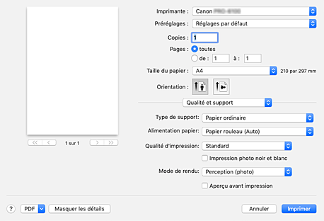 figure&nbsp;:&nbsp;Qualité et support dans la boîte de dialogue Imprimer
