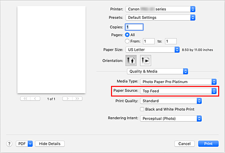 figur: Papperskälla i Kvalitet och media i dialogrutan Utskrift