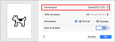 figure&nbsp;: Format pour les attributs de page de la Boîte de dialogue Configuration de la page