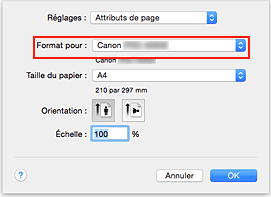 figure : Format pour les attributs de page de la Boîte de dialogue Configuration de la page