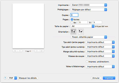 figure : Param. détaillés papier dans la boîte de dialogue Imprimer
