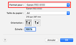 figure&nbsp;: Format pour les attributs de page de la Boîte de dialogue Configuration de la page