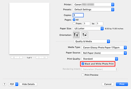 figure:Black and White Photo Print of Quality & Media in the Print dialog