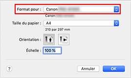 figure : Format pour les attributs de page de la Boîte de dialogue Configuration de la page