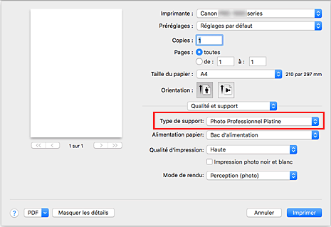 figure&nbsp;:&nbsp;Type de support dans Qualité et support de la boîte de dialogue Imprimer