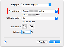 figure&nbsp;: Format pour les attributs de page de la Boîte de dialogue Configuration de la page