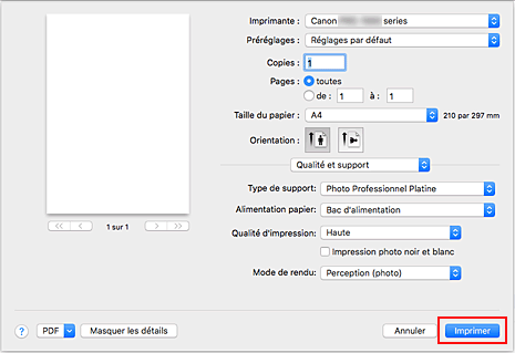 figure&nbsp;:&nbsp;Imprimer dans la boîte de dialogue Imprimer