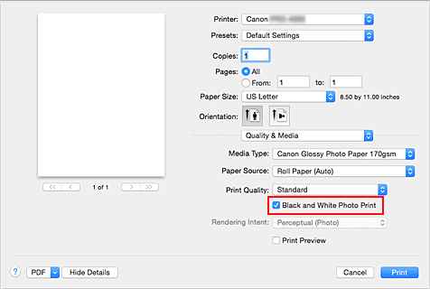 figure:Black and White Photo Print of Quality & Media in the Print dialog