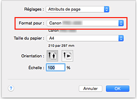 figure&nbsp;: Format pour les attributs de page de la Boîte de dialogue Configuration de la page