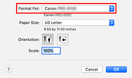 figure:Format For of Page Attributes in the Page Setup dialog