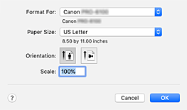 figure:Page Setup dialog