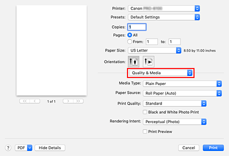 figure:Quality & Media in the Print dialog