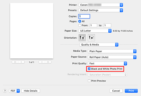 figure:Black and White Photo Print of Quality & Media in the Print dialog