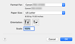 figure:Page Setup dialog