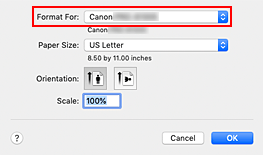 figure:Format For of Page Attributes in the Page Setup dialog