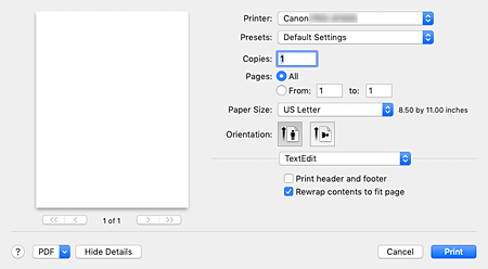 figure:Print dialog