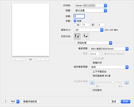 插图：打印对话框中的“页码处理”