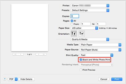 figure:Black and White Photo Print of Quality & Media in the Print dialog