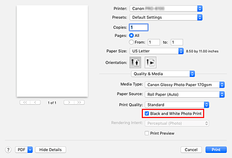 figure:Black and White Photo Print of Quality & Media in the Print dialog