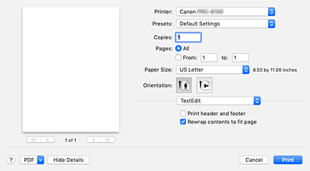 figure:Print dialog