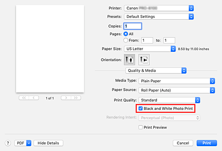 figure:Black and White Photo Print of Quality & Media in the Print dialog