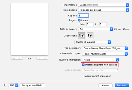 figure&nbsp;: option Impression photo noir et blanc sous Qualité et support dans la boîte de dialogue Imprimer