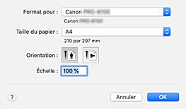 figure&nbsp;: Boîte de dialogue Configuration de la page
