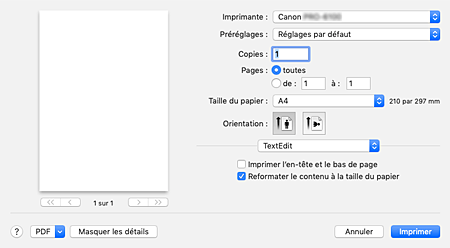 figure&nbsp;: Boîte de dialogue Imprimer