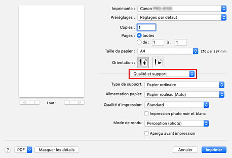 figure&nbsp;:&nbsp;Qualité et support dans la boîte de dialogue Imprimer