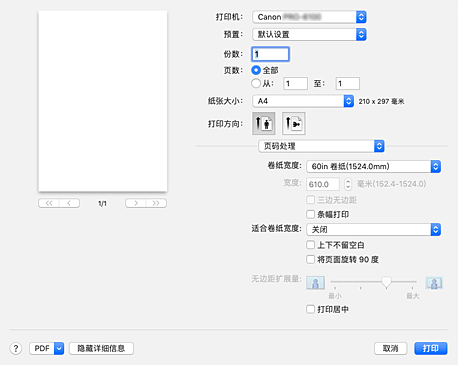 插图：打印对话框中的“页码处理”