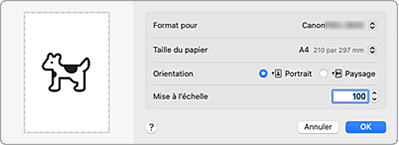 figure : Boîte de dialogue Configuration de la page