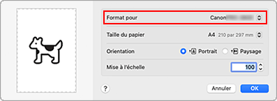 figure : Format pour les attributs de page de la Boîte de dialogue Configuration de la page