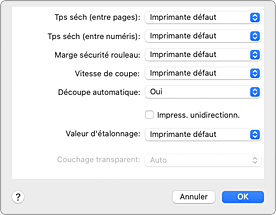 figure : Paramètres avancés du papier dans la boîte de dialogue Imprimer