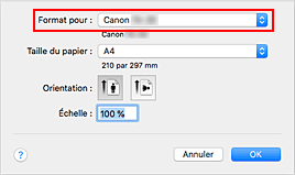 figure&nbsp;: Format pour les attributs de page de la Boîte de dialogue Configuration de la page