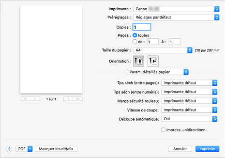 figure : Param. détaillés papier dans la boîte de dialogue Imprimer