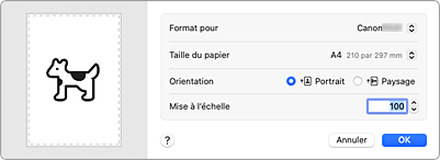 figure&nbsp;: Boîte de dialogue Configuration de la page