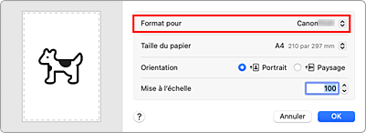 figure&nbsp;: Format pour les attributs de page de la Boîte de dialogue Configuration de la page