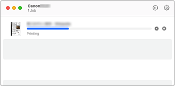 figure:Printing status screen