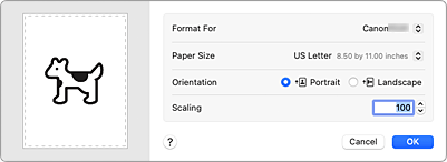 figure:Page Setup dialog