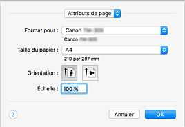 figure&nbsp;: Boîte de dialogue Configuration de la page