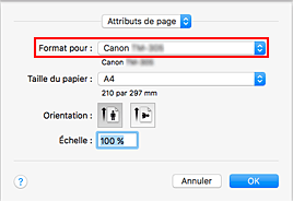 figure : Format pour les attributs de page de la Boîte de dialogue Configuration de la page