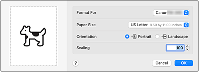 figure:Page Setup dialog