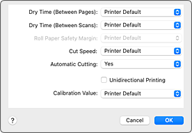 figure:Advanced Paper Settings in the Print dialog