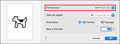 figure&nbsp;: Format pour les attributs de page de la Boîte de dialogue Configuration de la page