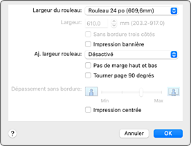 figure : Traitement de la page dans la boîte de dialogue Imprimer