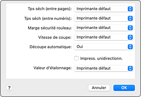figure : Paramètres avancés du papier dans la boîte de dialogue Imprimer